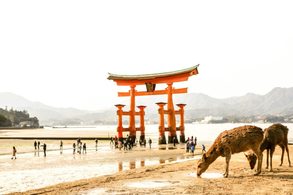 The Ultimate Guide to Getting to Naoshima: A Step-by-Step Plan for International Visitors